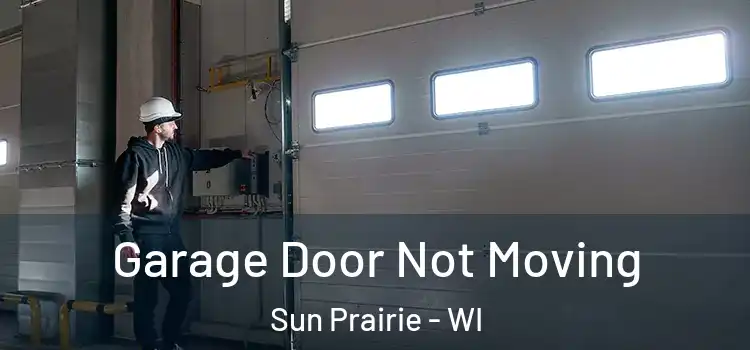  Garage Door Not Moving Sun Prairie - WI
