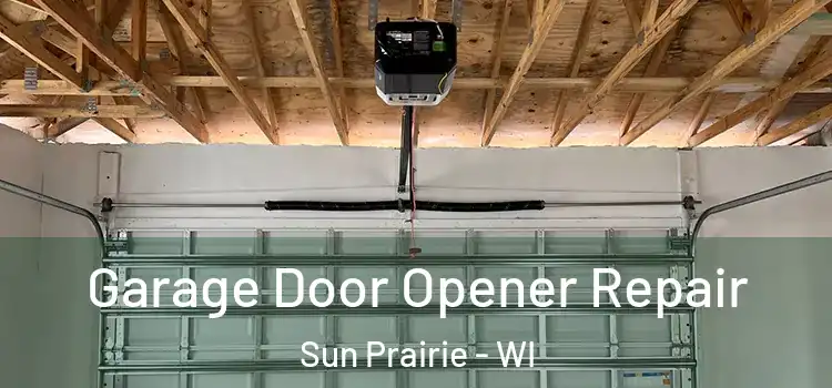  Garage Door Opener Repair Sun Prairie - WI