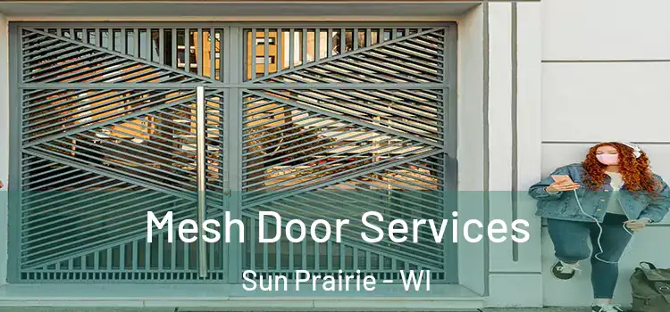  Mesh Door Services Sun Prairie - WI